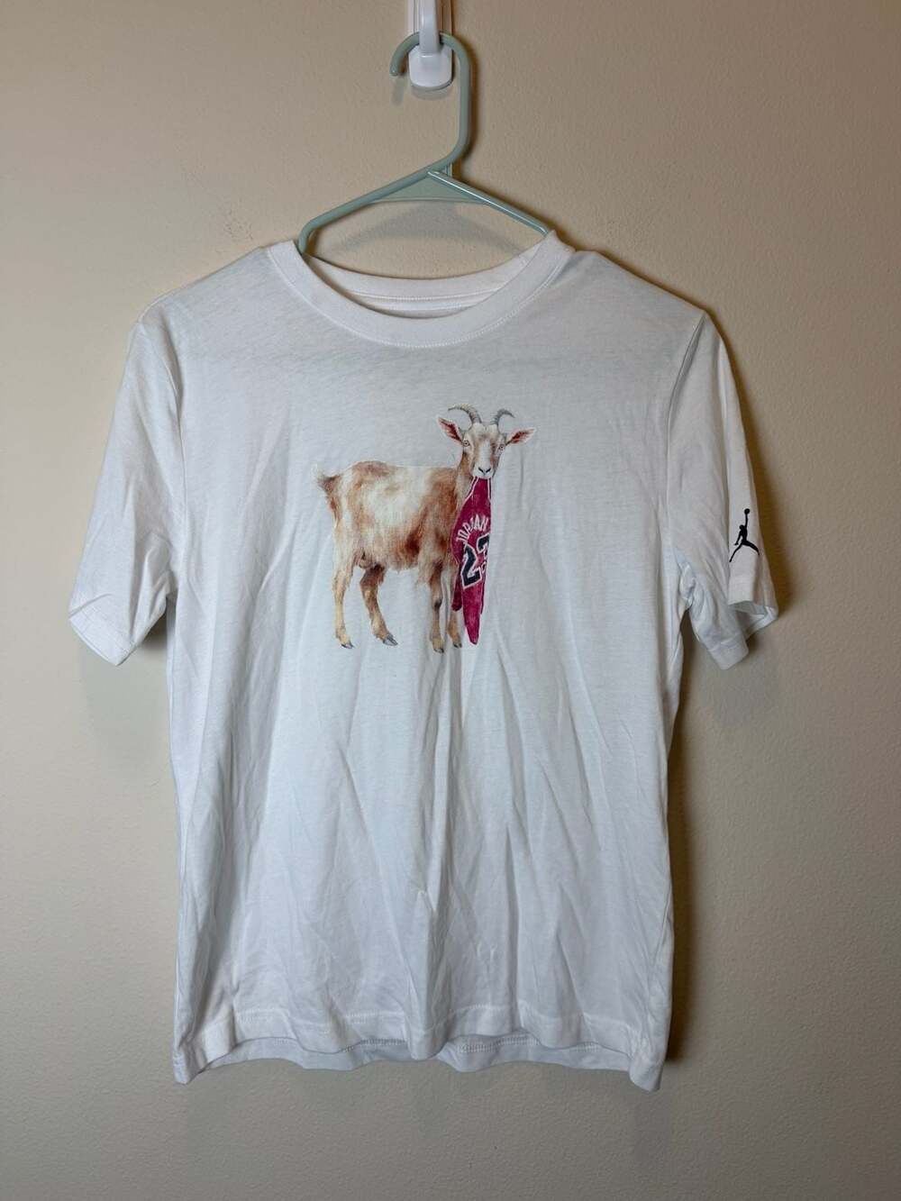 Jordan GOAT Short-Sleeve T-Shirt Size L (12-13 YRS) White